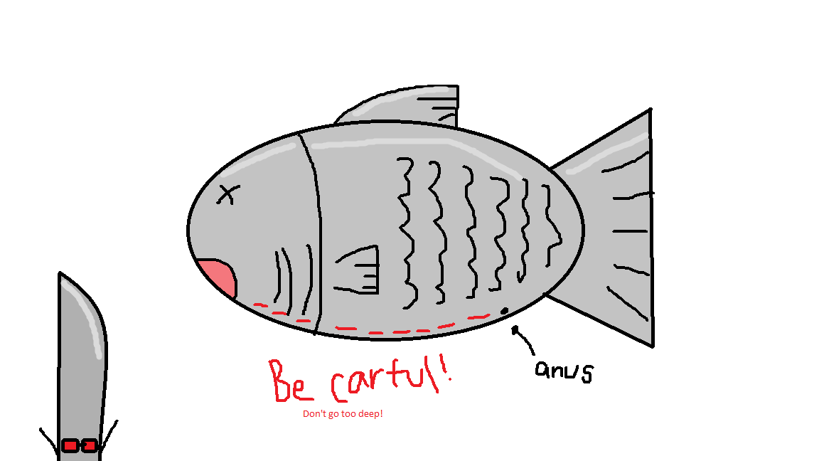 fish 3.png