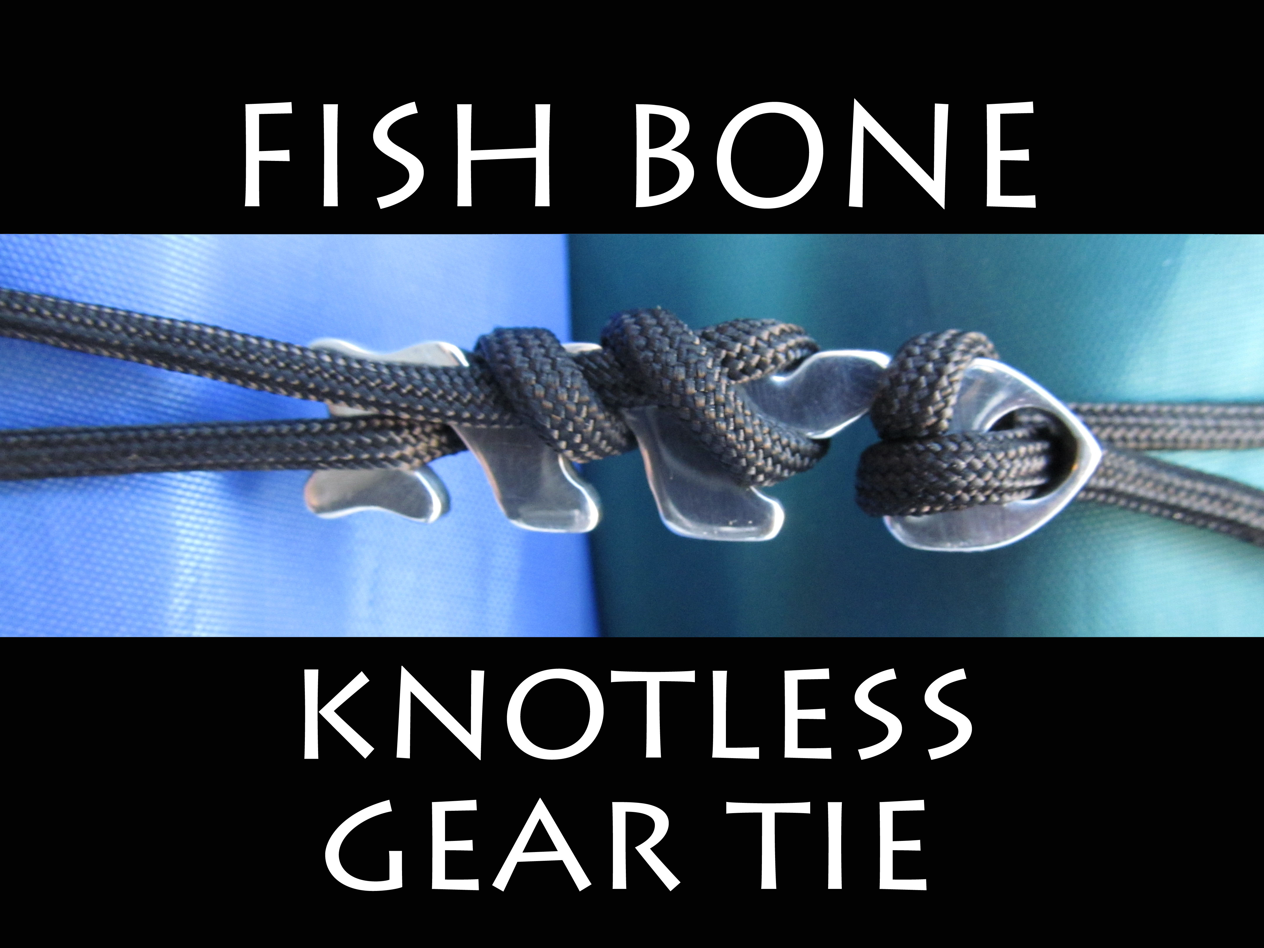 fish bone 6.jpg