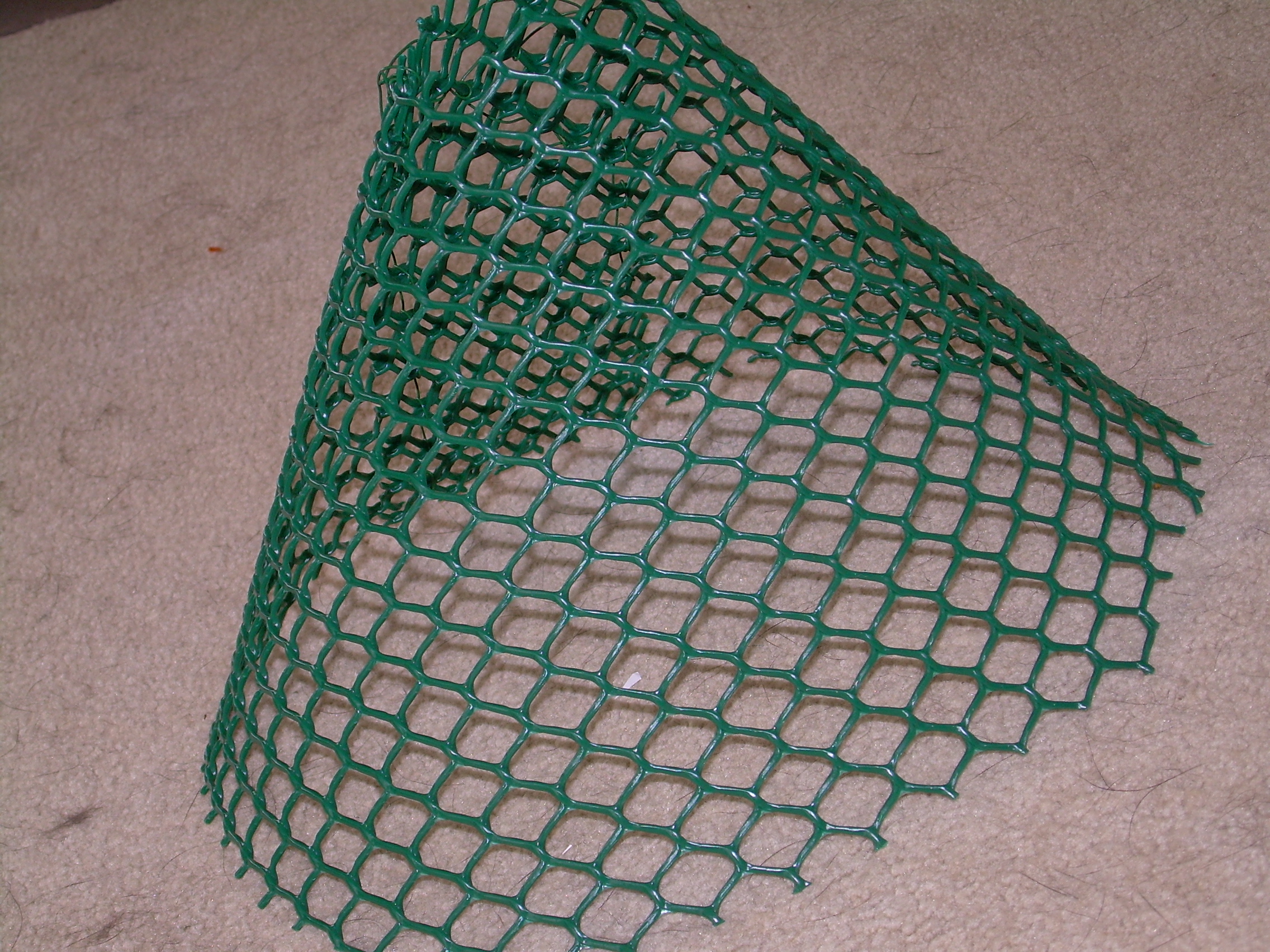 fish trap 012.jpg