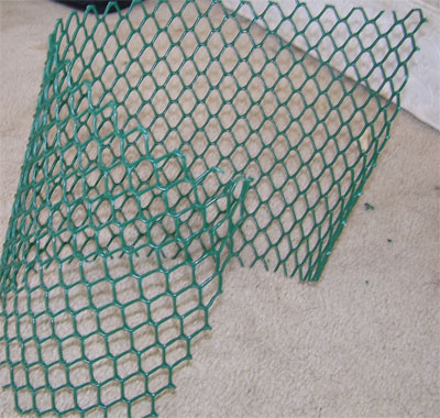 fish trap 015.jpg