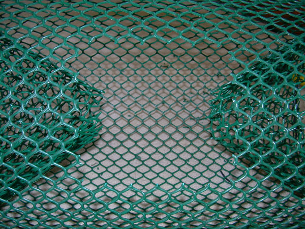 fish trap 019.jpg