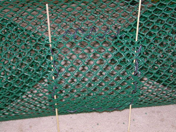 fish trap 020.jpg