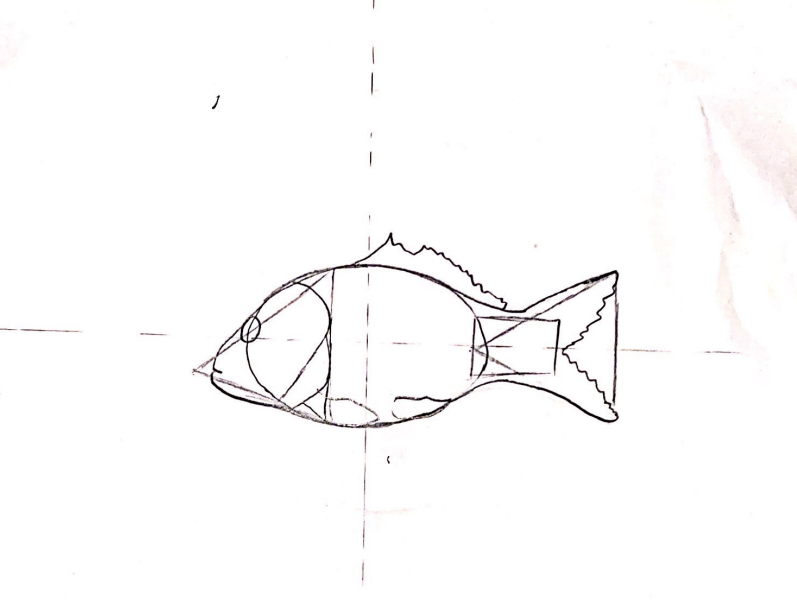 fishStep5.png