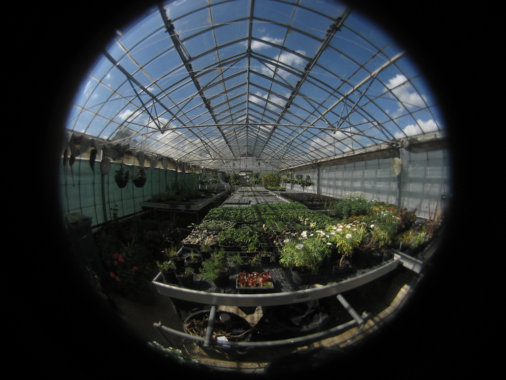 fisheye example.jpg