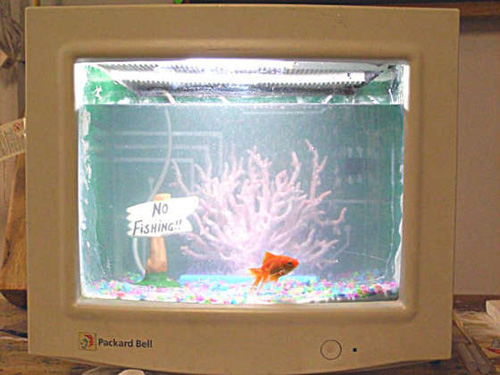 fishtank.jpg