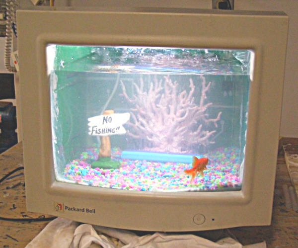 fishtank30.jpg