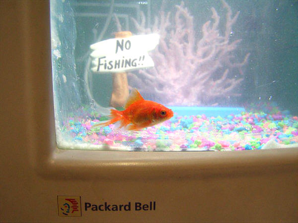 fishtank32.jpg