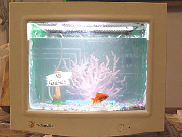 fishtank33.jpg