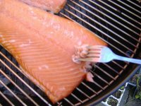 flakingsalmon-medium.jpg