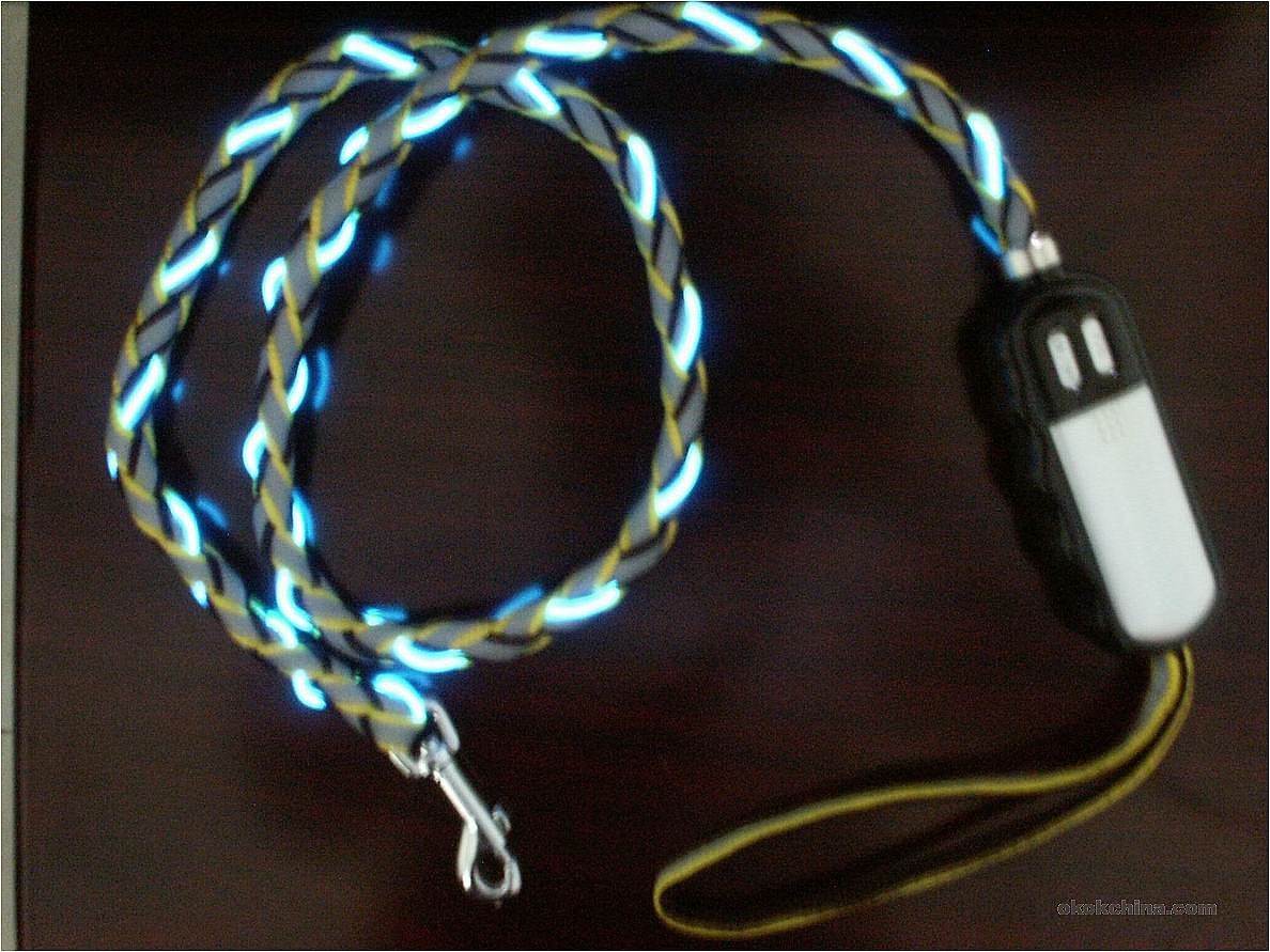 flash leash890.jpg