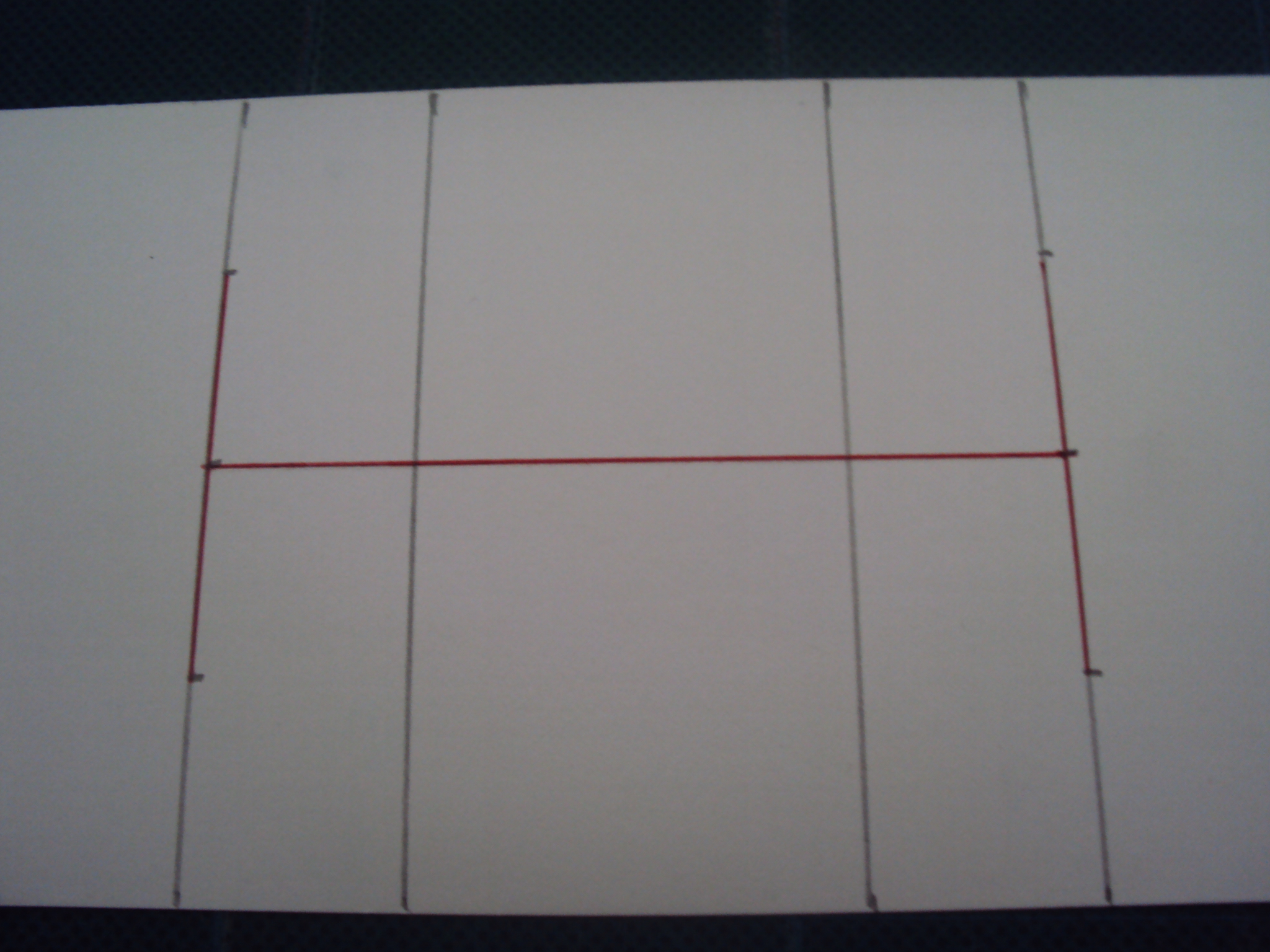 flexicard (13).JPG