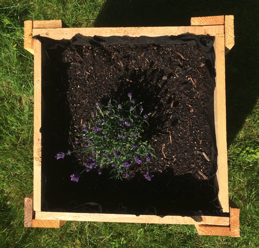 flower box Soil.png