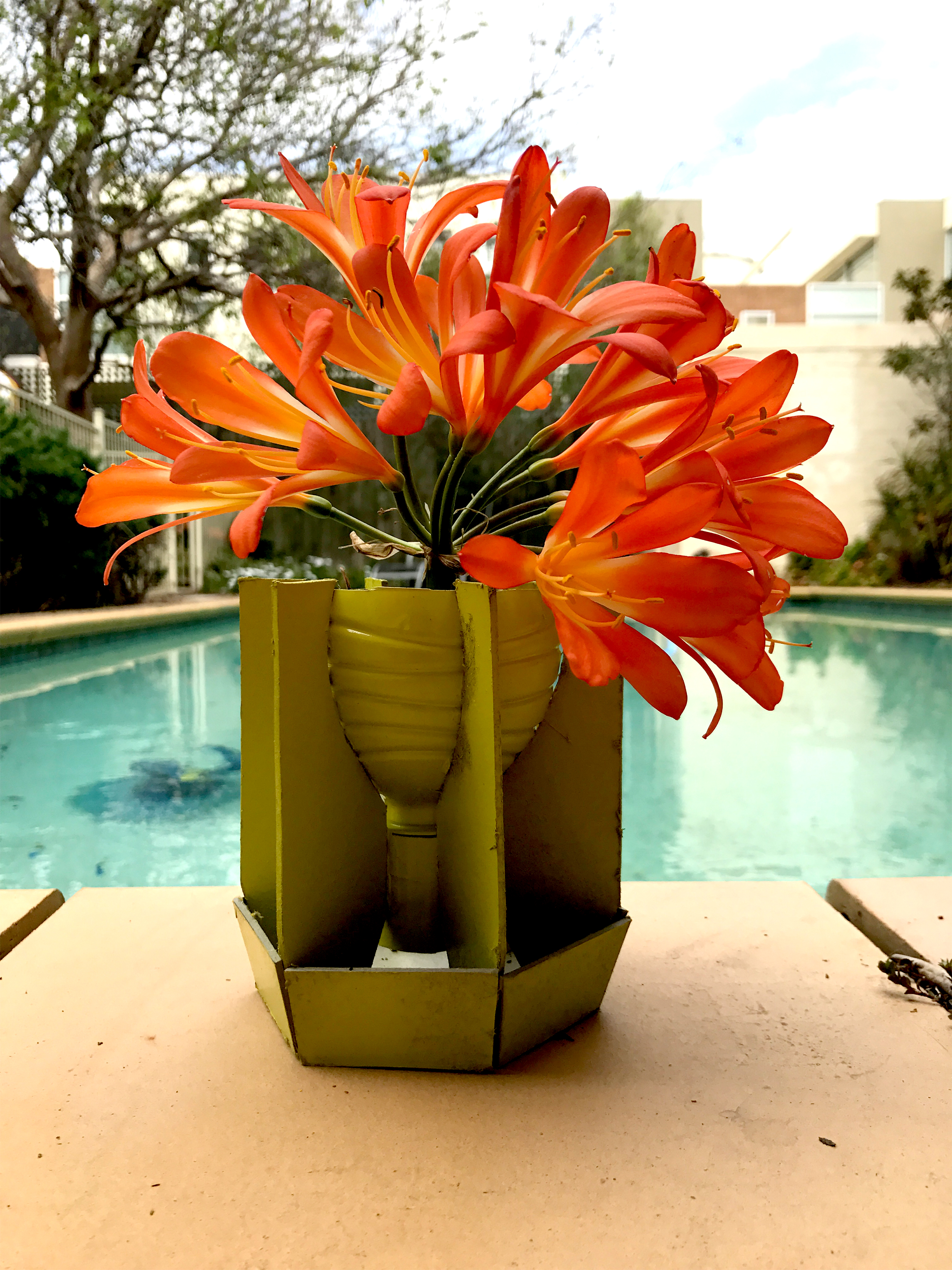 flower pot photo 3.jpg