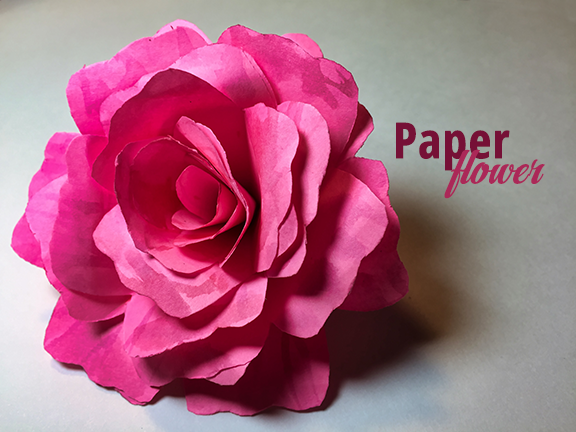 flower1.png