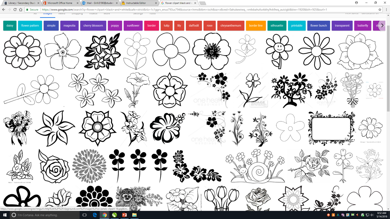 flowerclipart search.png