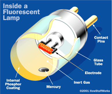 fluorescent-lamp-1.gif