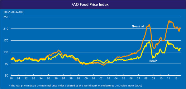 food price incex.jpg