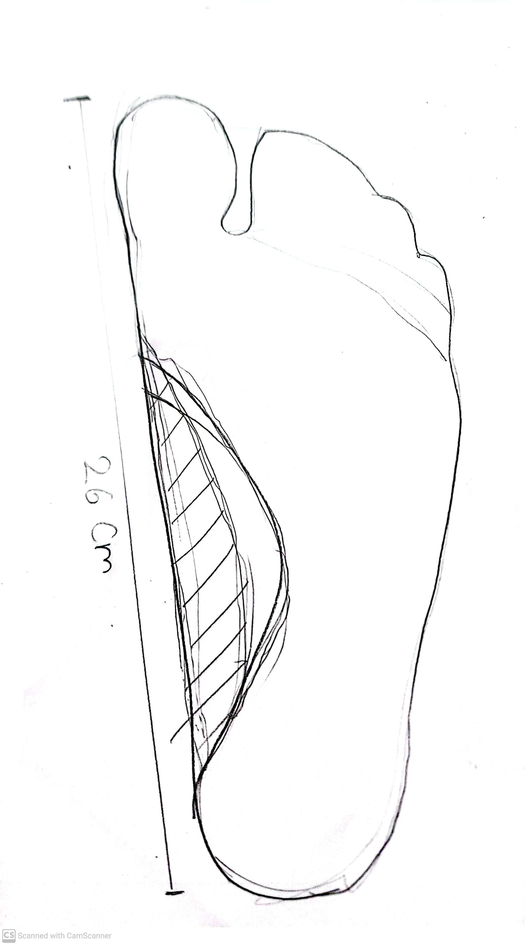 foot outline.jpg