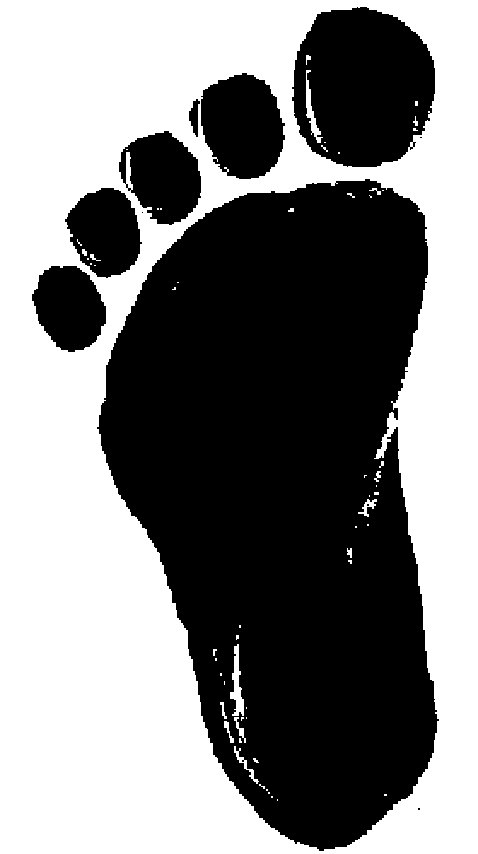 footprint2.jpg