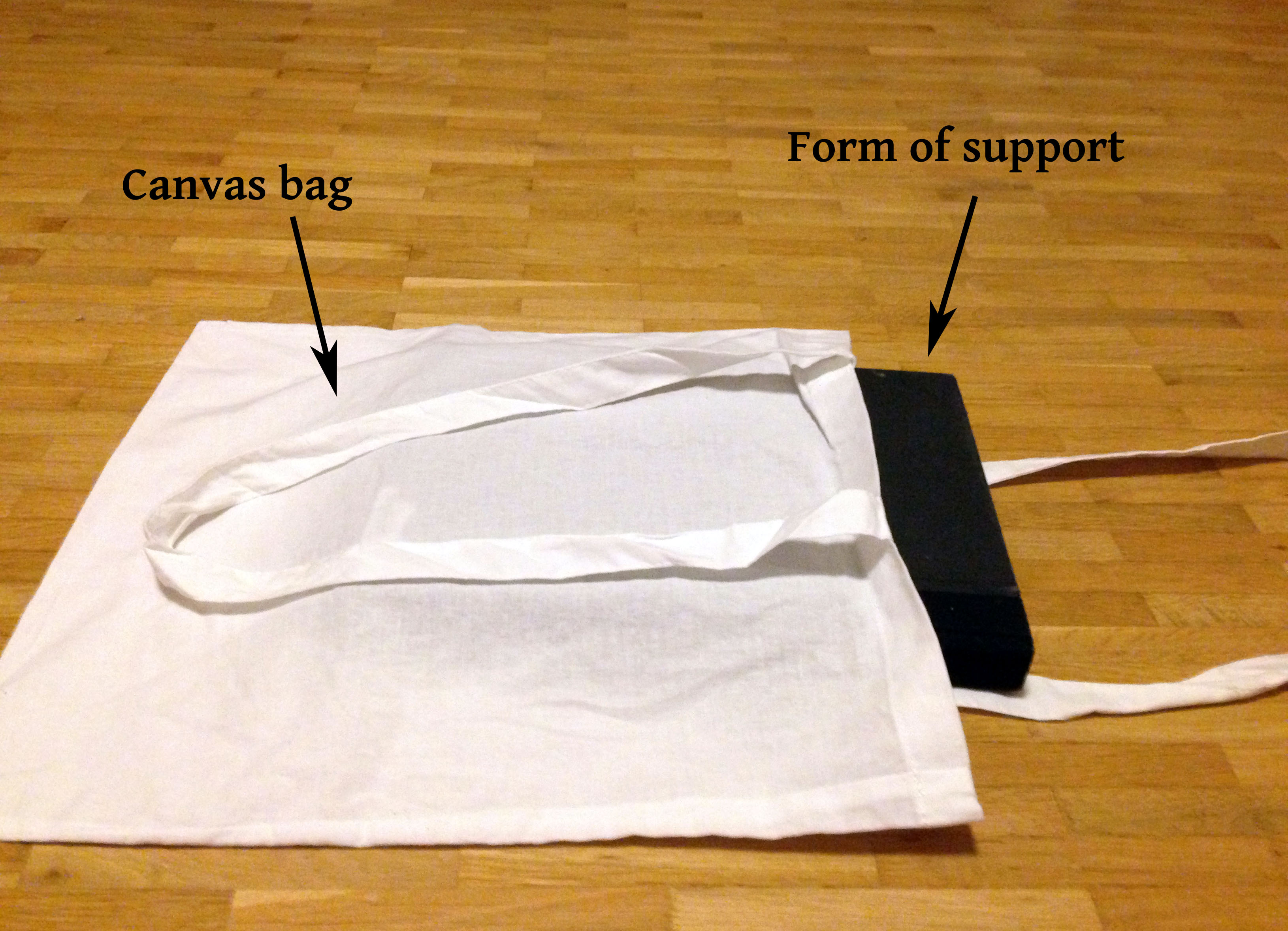 form of support inside bag.jpg