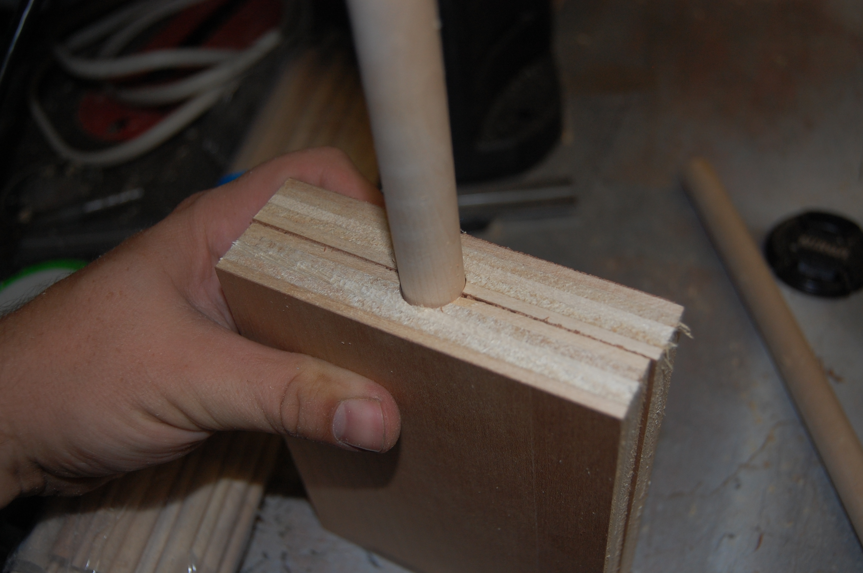 forms with dowel.JPG