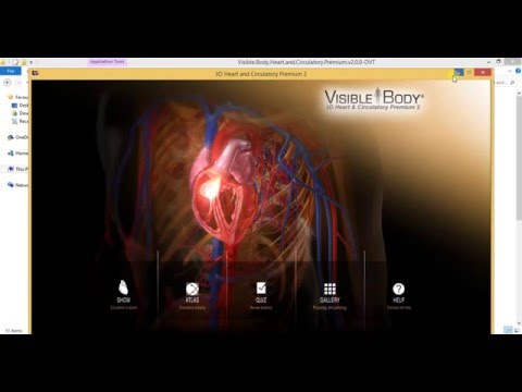 free download visible body heart and circulatory system