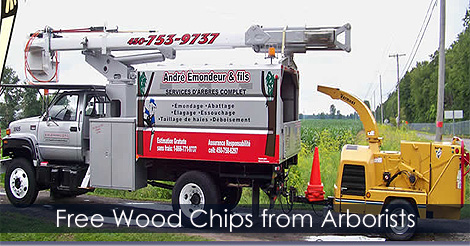 free-wood-chips.jpg