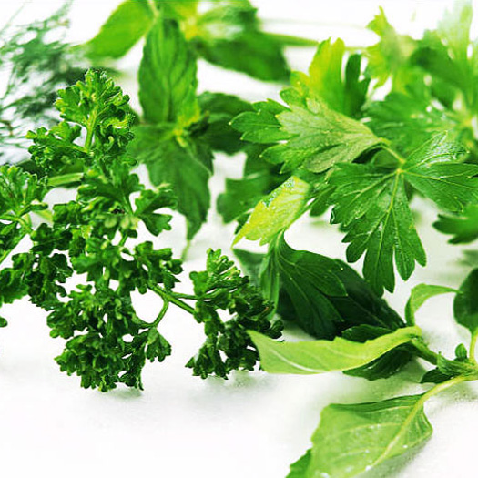 freshherbs.jpg