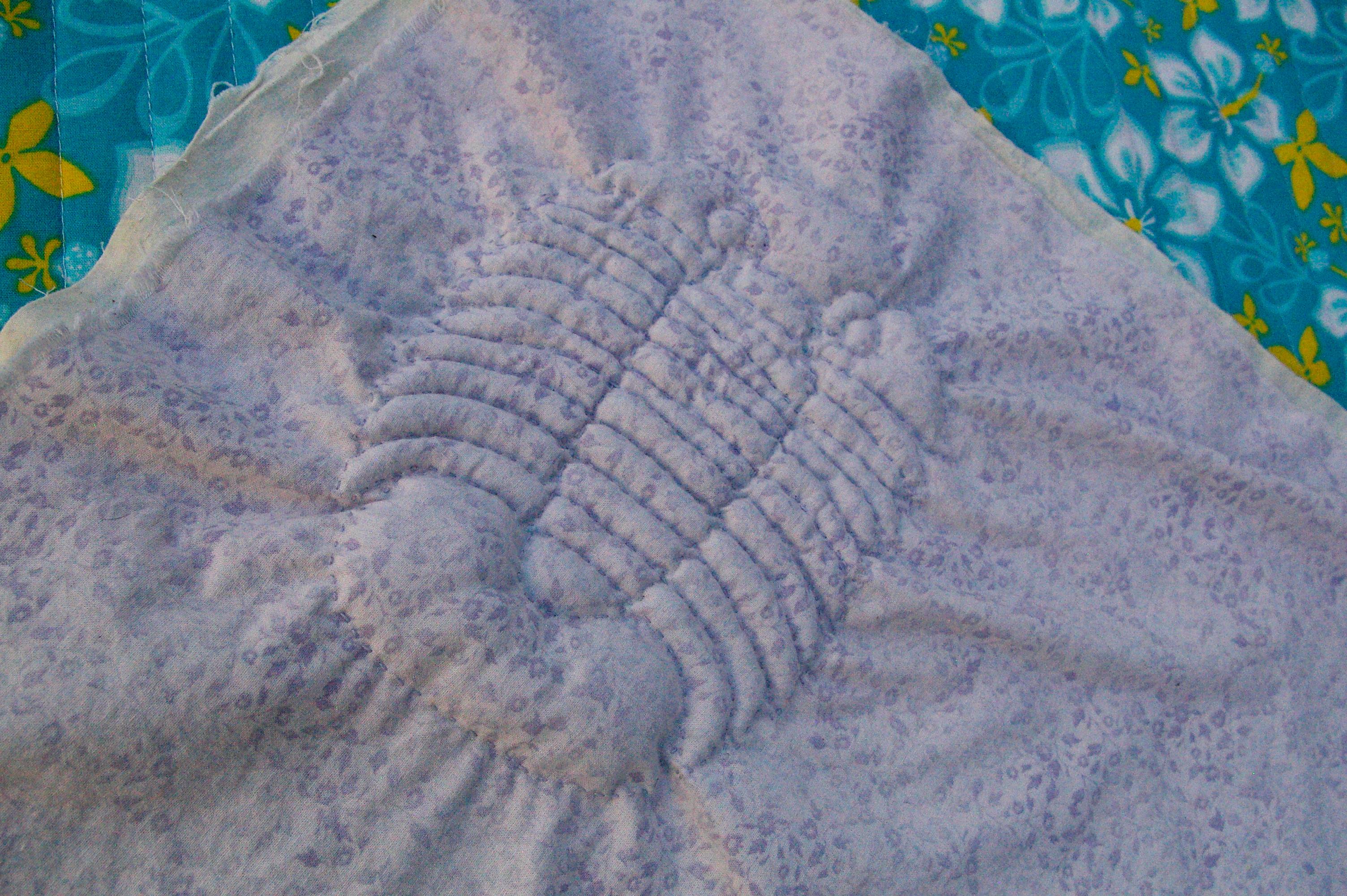 front of finished trapunto panel not yet a pillow.JPG