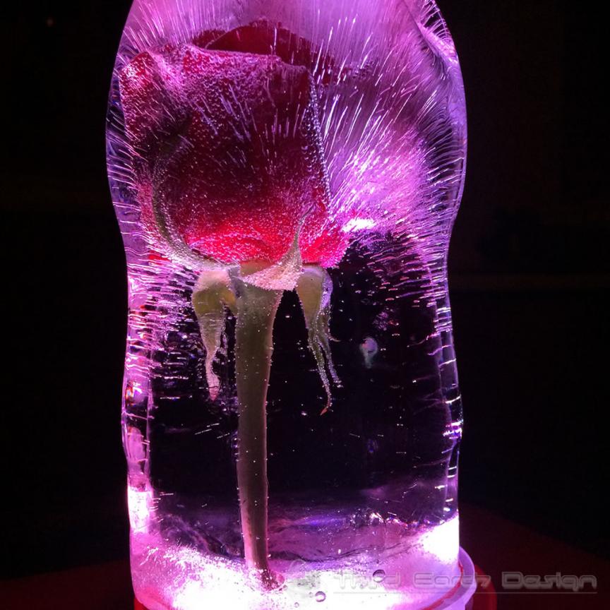 frozen_rose_04.jpg