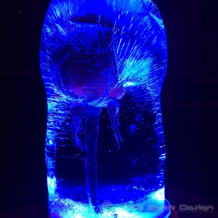 frozen_rose_06.jpg