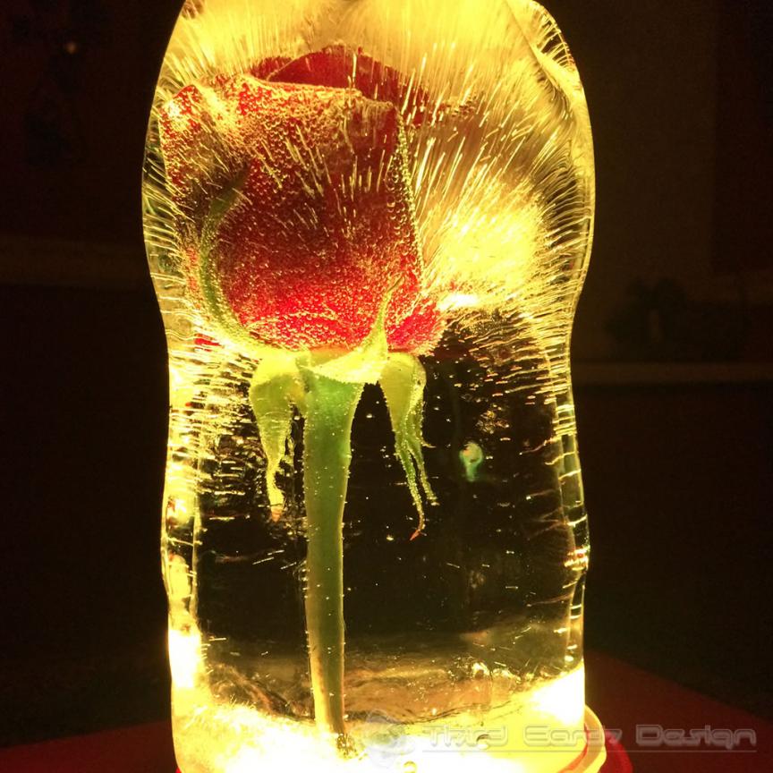 frozen_rose_08.jpg