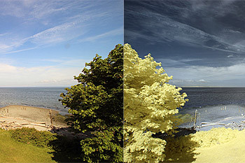 full_spectrum_camera_conversion-350x233.jpg