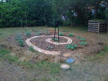 garden 2.jpg