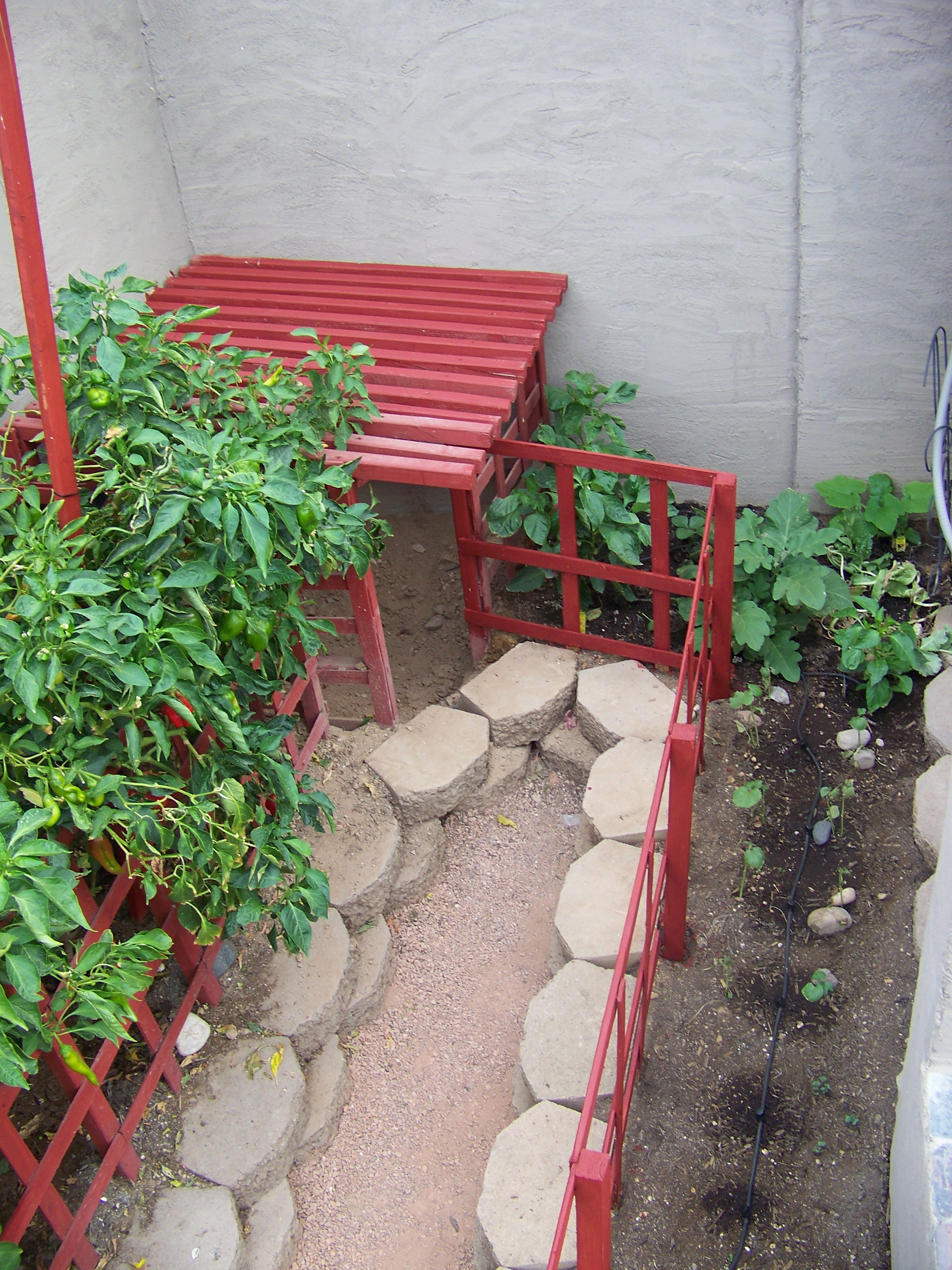 garden2.0l.JPG