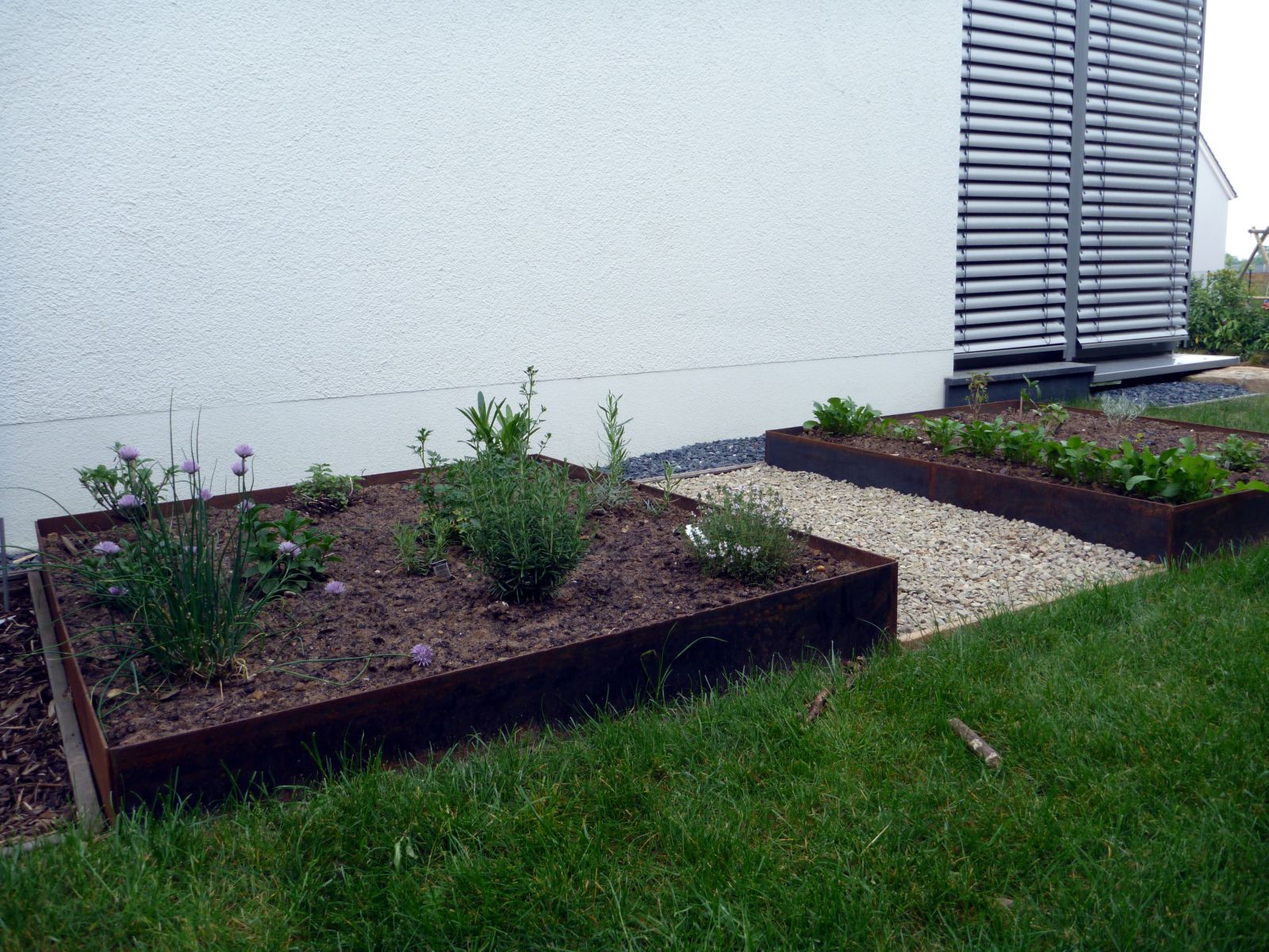 garden8.jpg