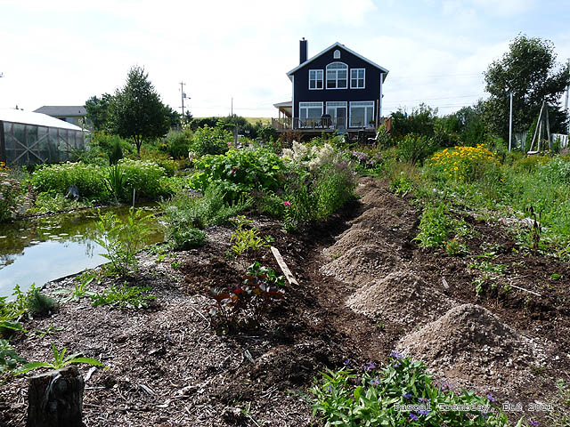 garden_path_chemin_sentier_trail_7.jpg