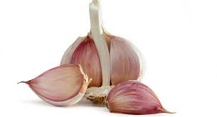 garlic.jpg