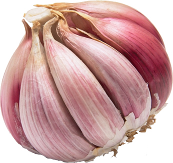 garlic.jpg