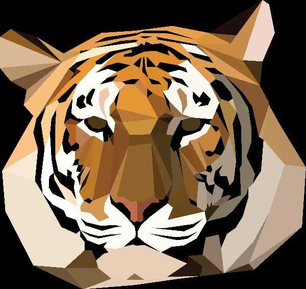 geometric tiger.jpg