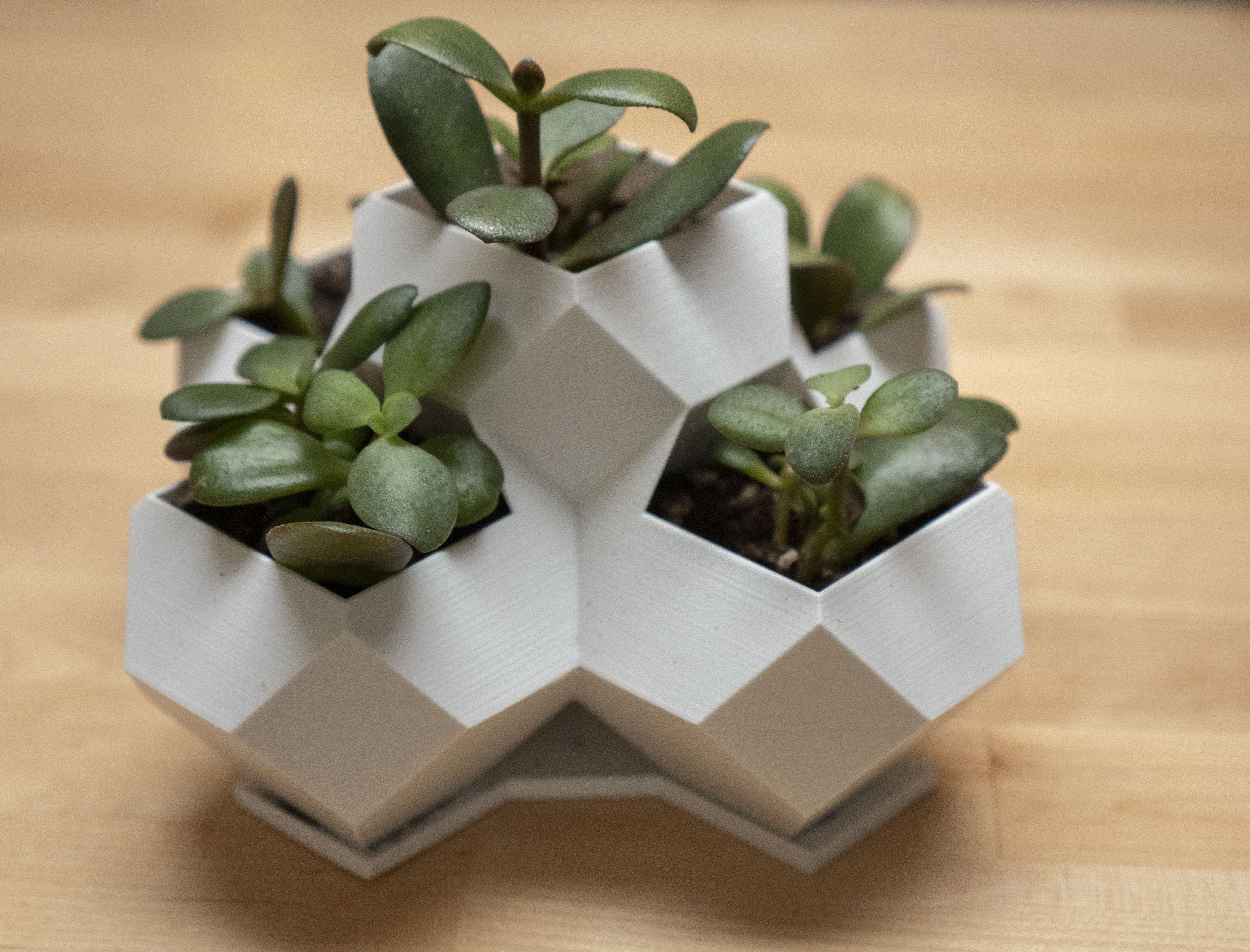 geometric-planter-04.jpg