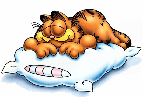 get+more+sleep+garfield_Lose+5+Pounds+in+7+Days.jpg