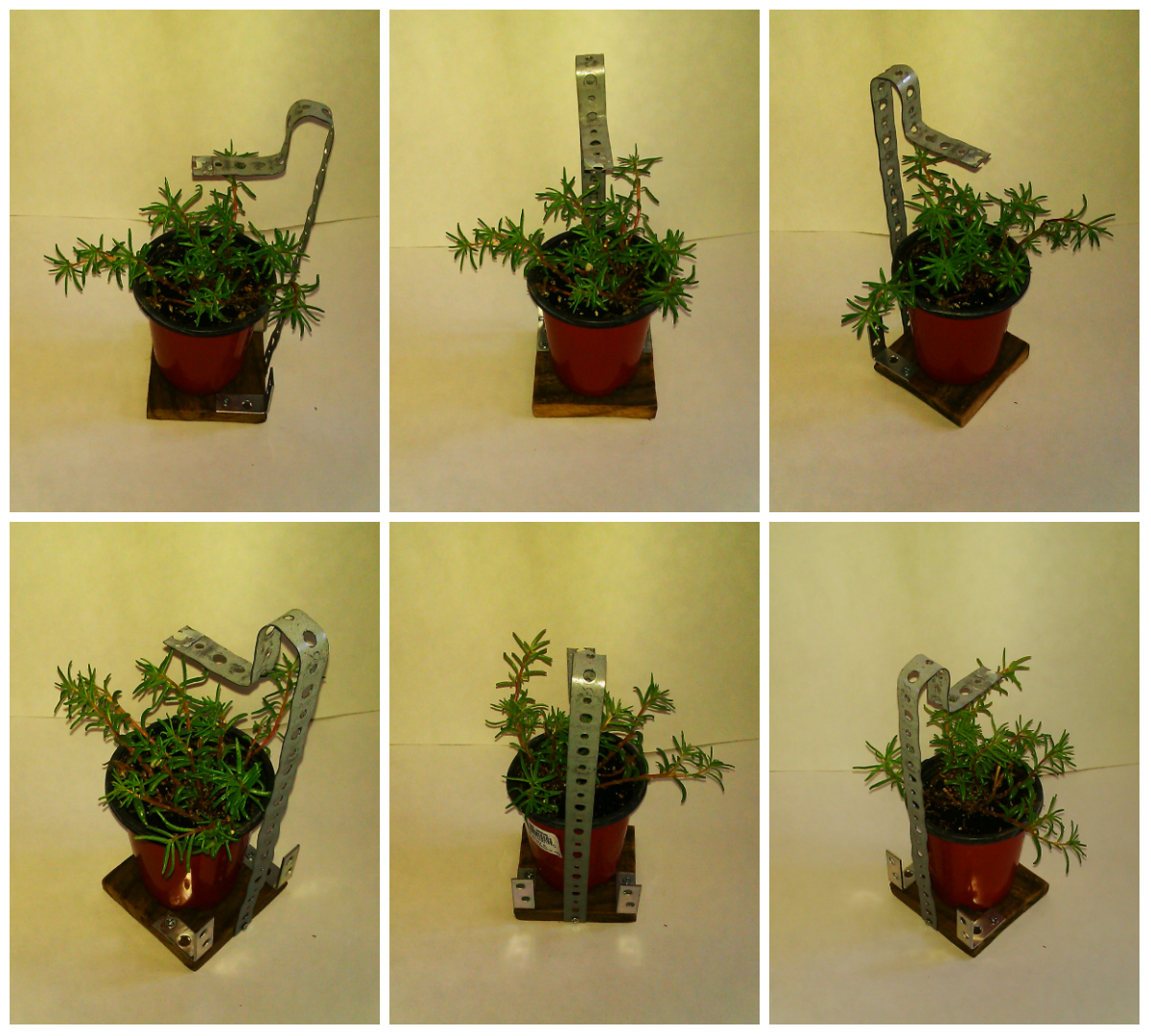 giftshelf_withplant.jpg