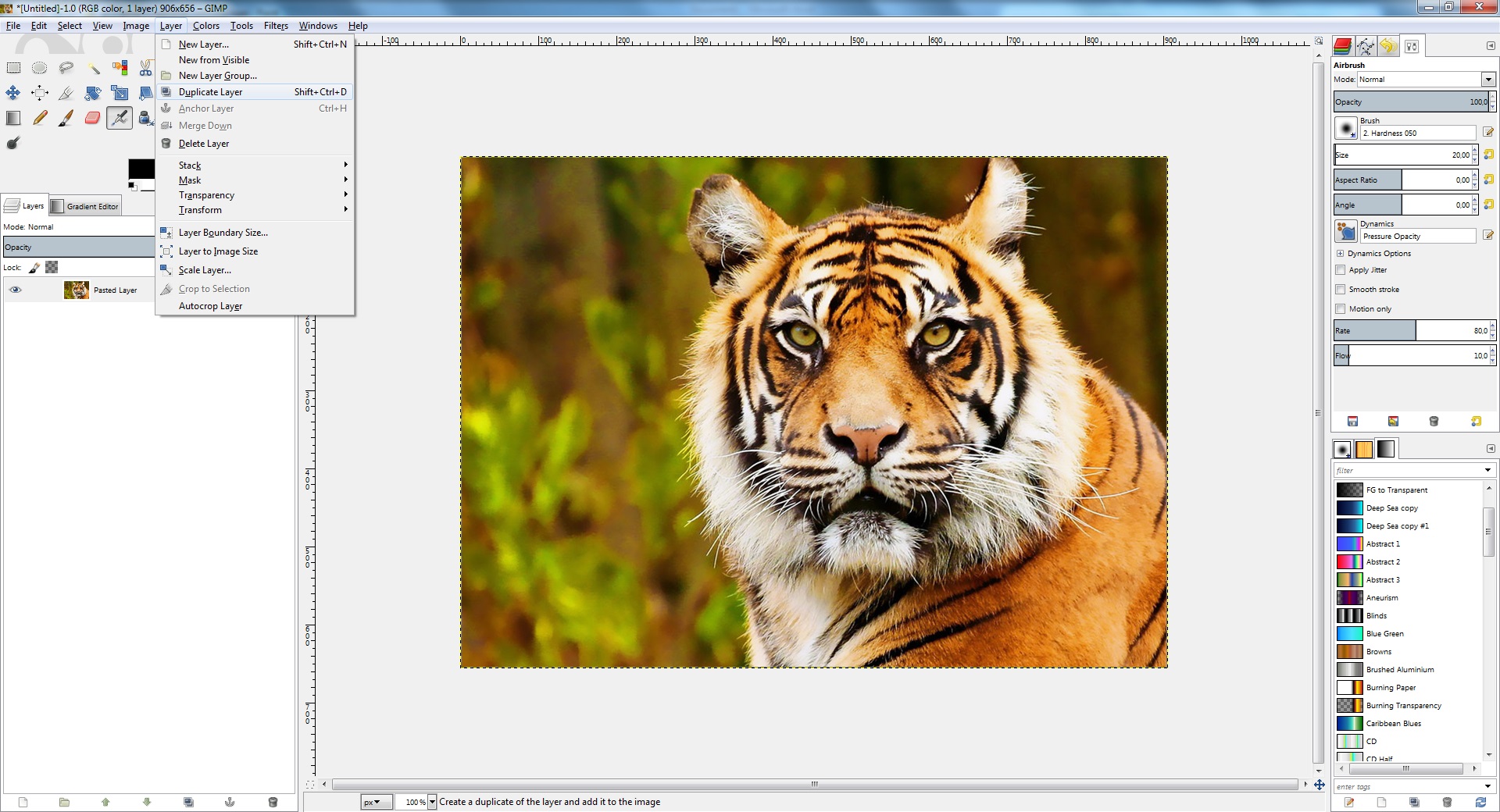 gimp screenshot showing duplicate layer.jpg