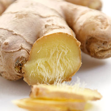 ginger.jpg