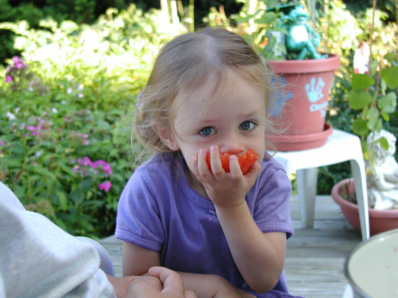 girl eating tomatos.jpg