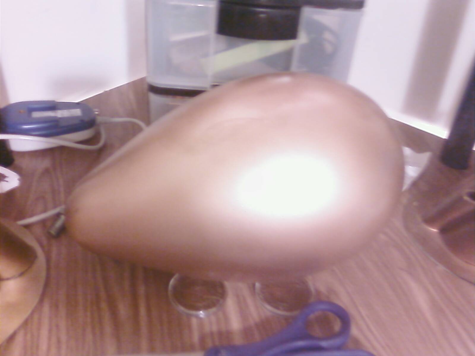 golden egg 005.jpg