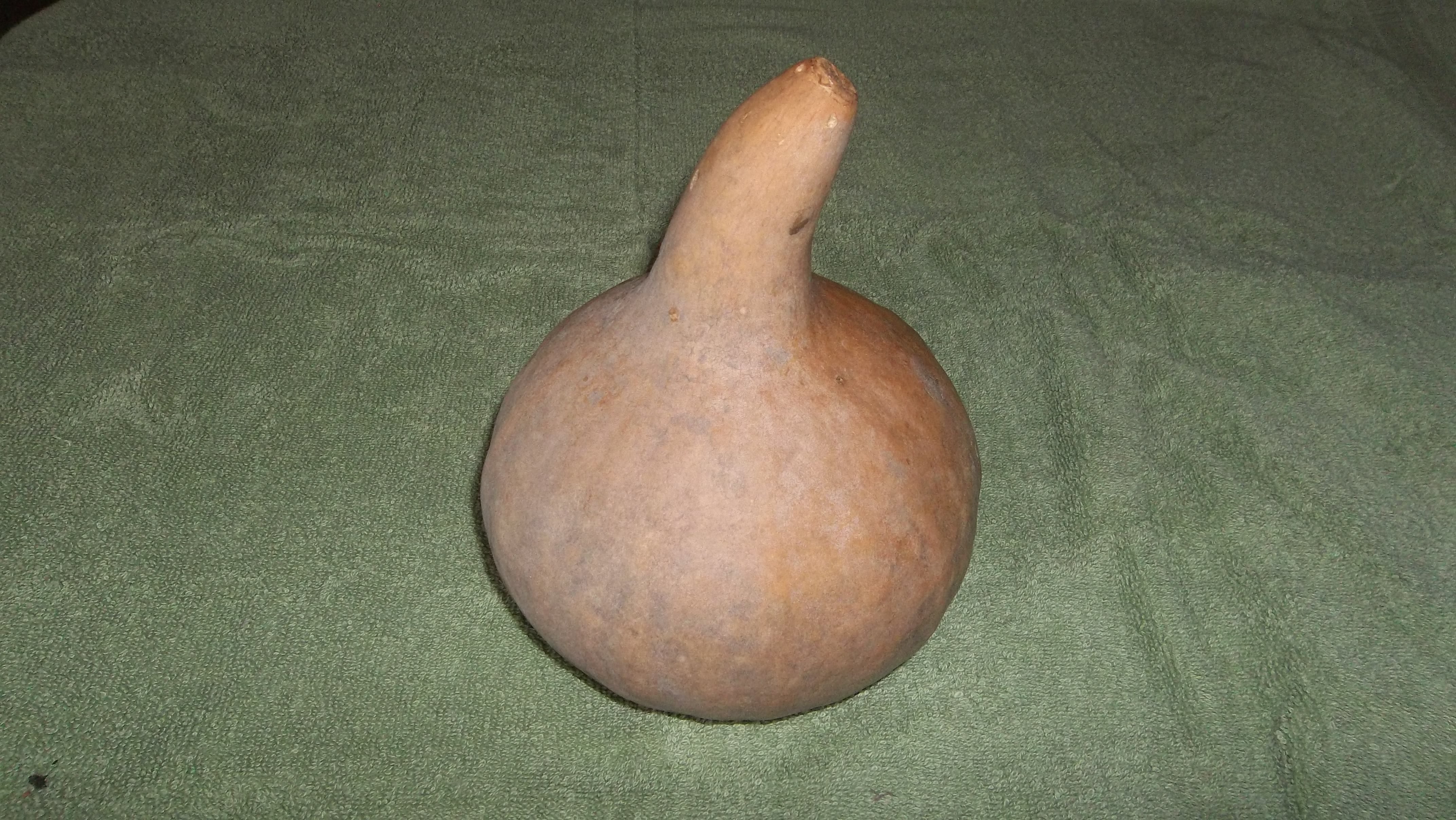 gourdproject 001.jpg