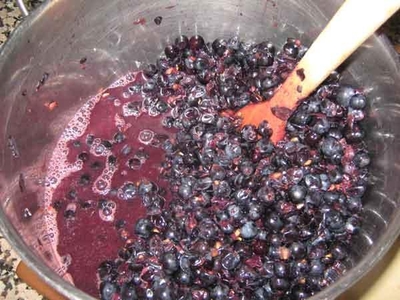 grape wine 2016.jpg