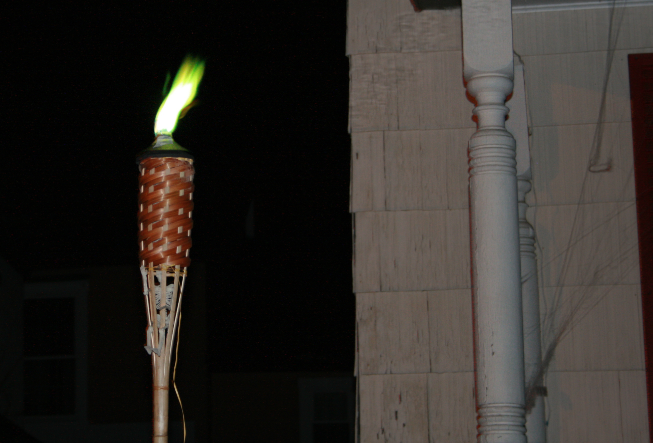 green torch.jpg